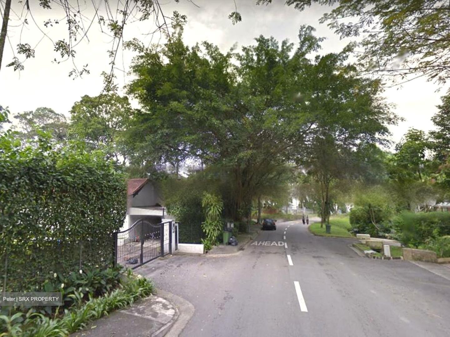 Bukit Timah Estate (D10), Detached #468537121
